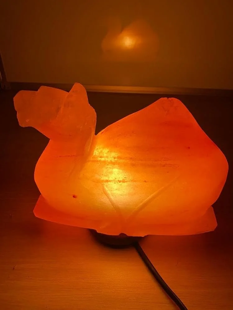 Camel salt lamp