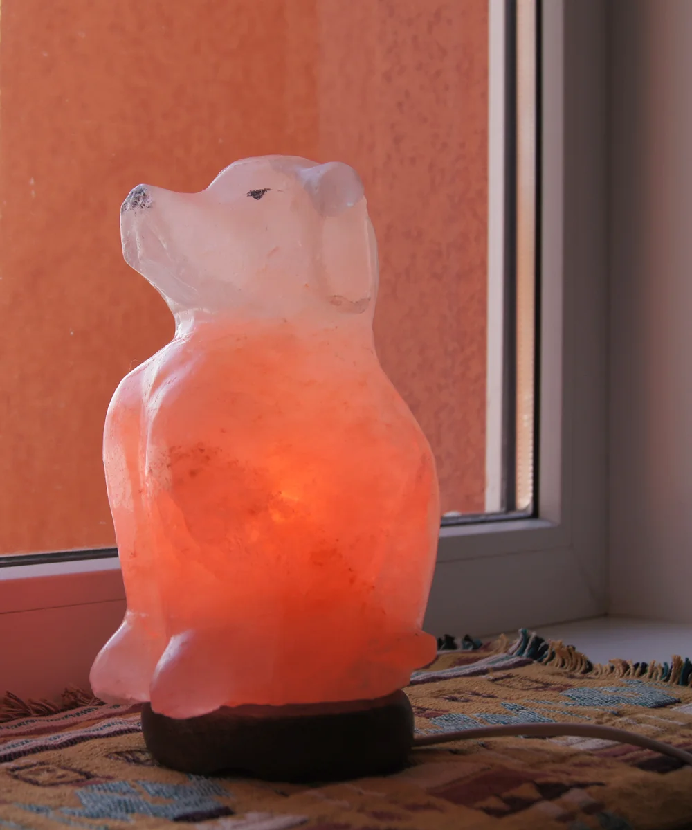 Dog salt lamp