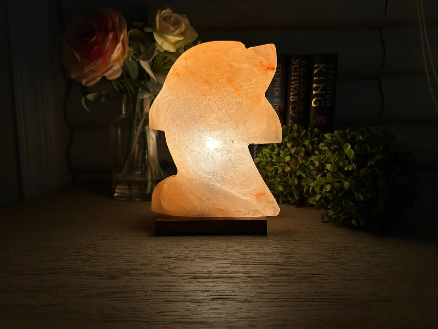 Dolphin salt lamp