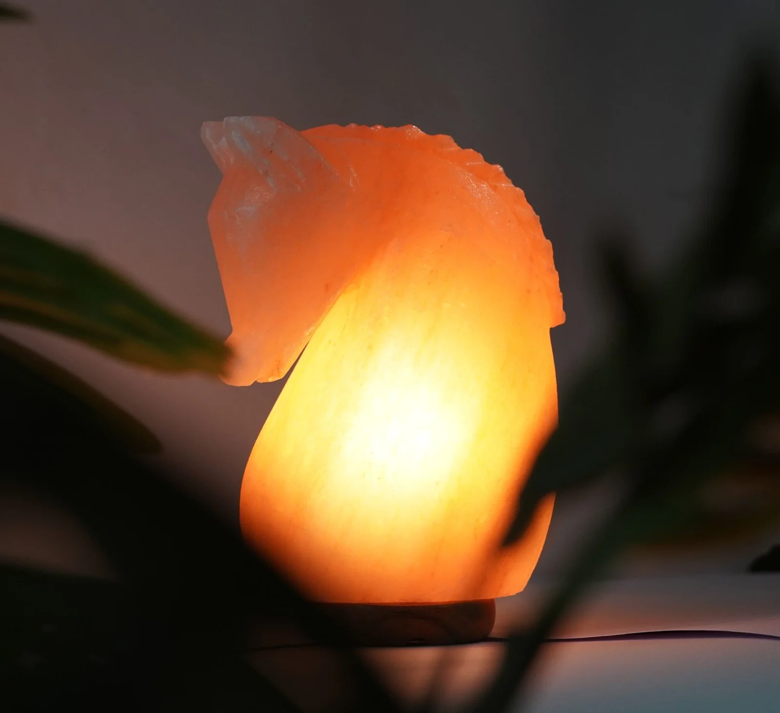 Hourse salt lamp